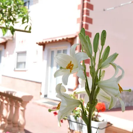 فندق مبيت وإفطار La Casa Dei Desideri أَجيرولا